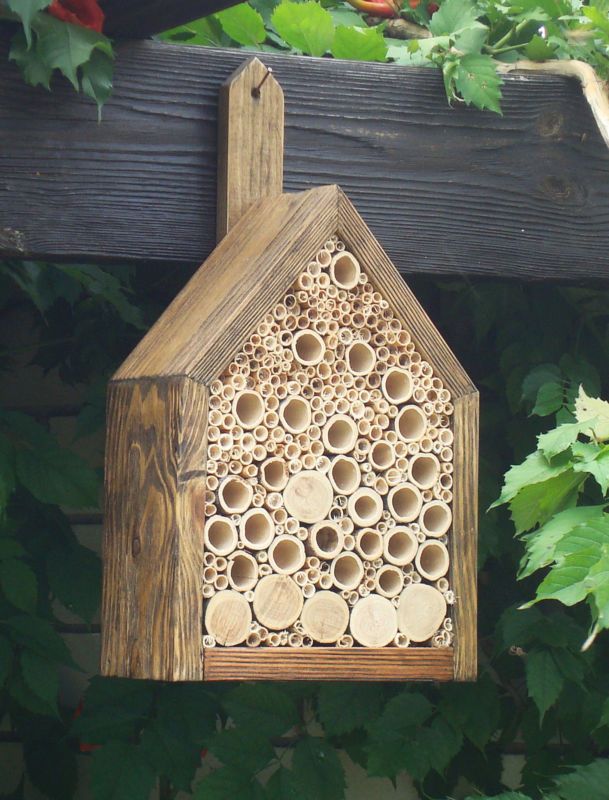 A Bee Box