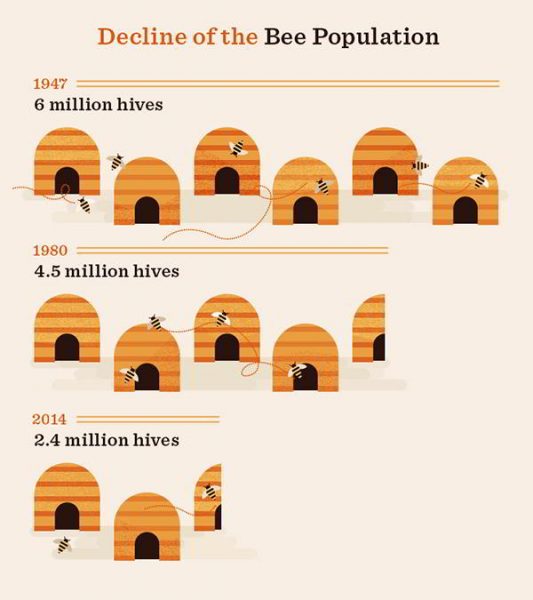 A Bee Box