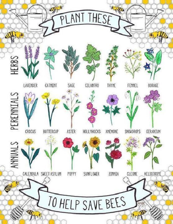 A Bee Box